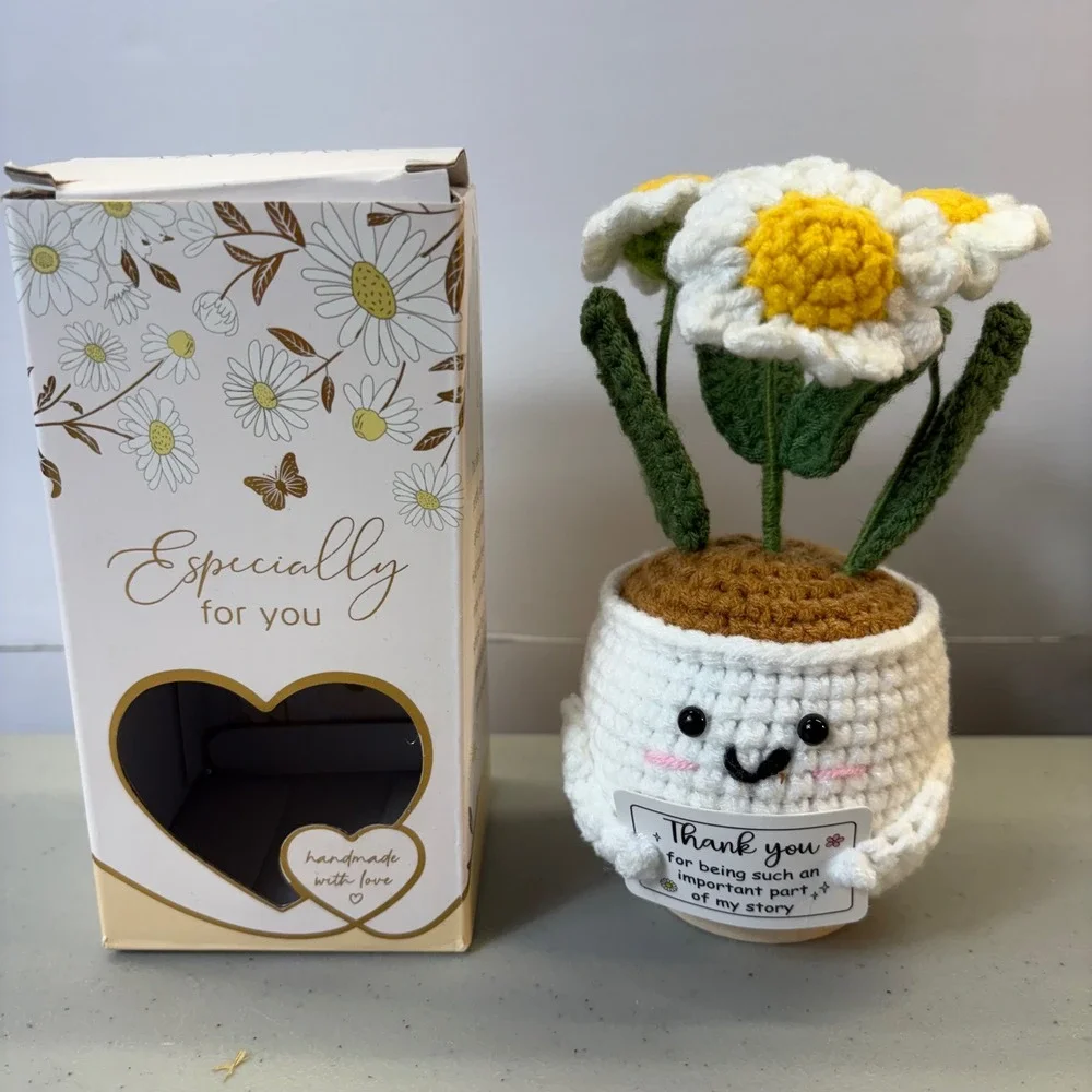 Handmade Crochet Positive Daisy Potted Plant Thank You Gift Desk Decor Nurse